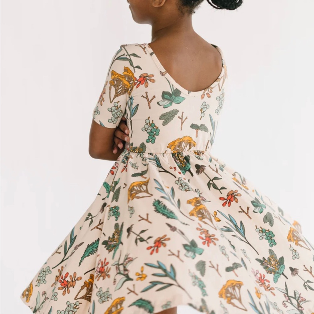 Alice + Ames Short Sleeve Ballet Dress in Herbal Study